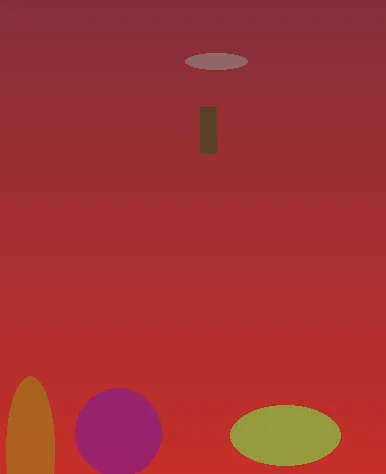 星空体育