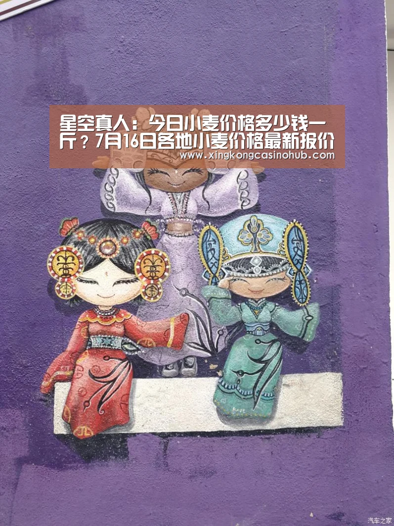 星空竞猜