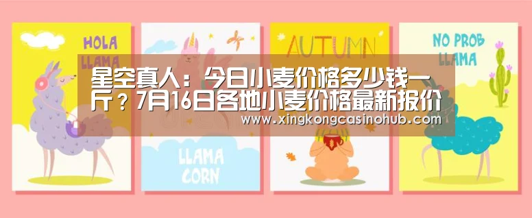 星空官网