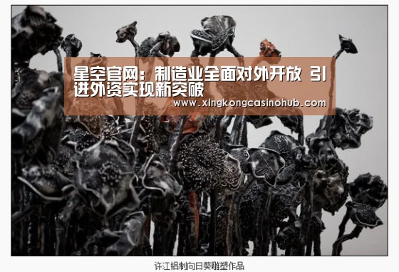 星空官网:制造业全面对外开放 引进外资实现新突破(图2) 星空官网