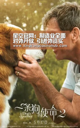 星空官网:制造业全面对外开放 引进外资实现新突破(图1) 星空官网