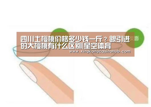 星空官网