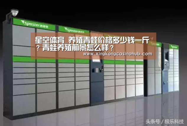 星空竞猜