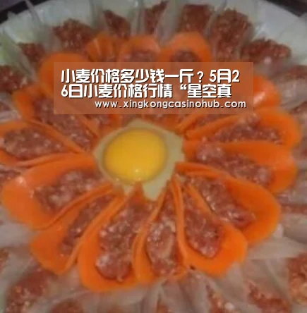 星空官网