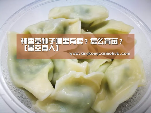 神香草种子哪里有卖?怎么育苗?【星空真人】(图1) 星空竞猜