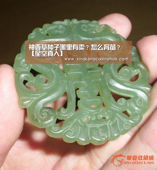 神香草种子哪里有卖?怎么育苗?【星空真人】(图2) 星空竞猜