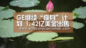 GE继续“瘦身”计划 1.42亿美金出售小型工业电机业务_星空官网(图2) 星空真人