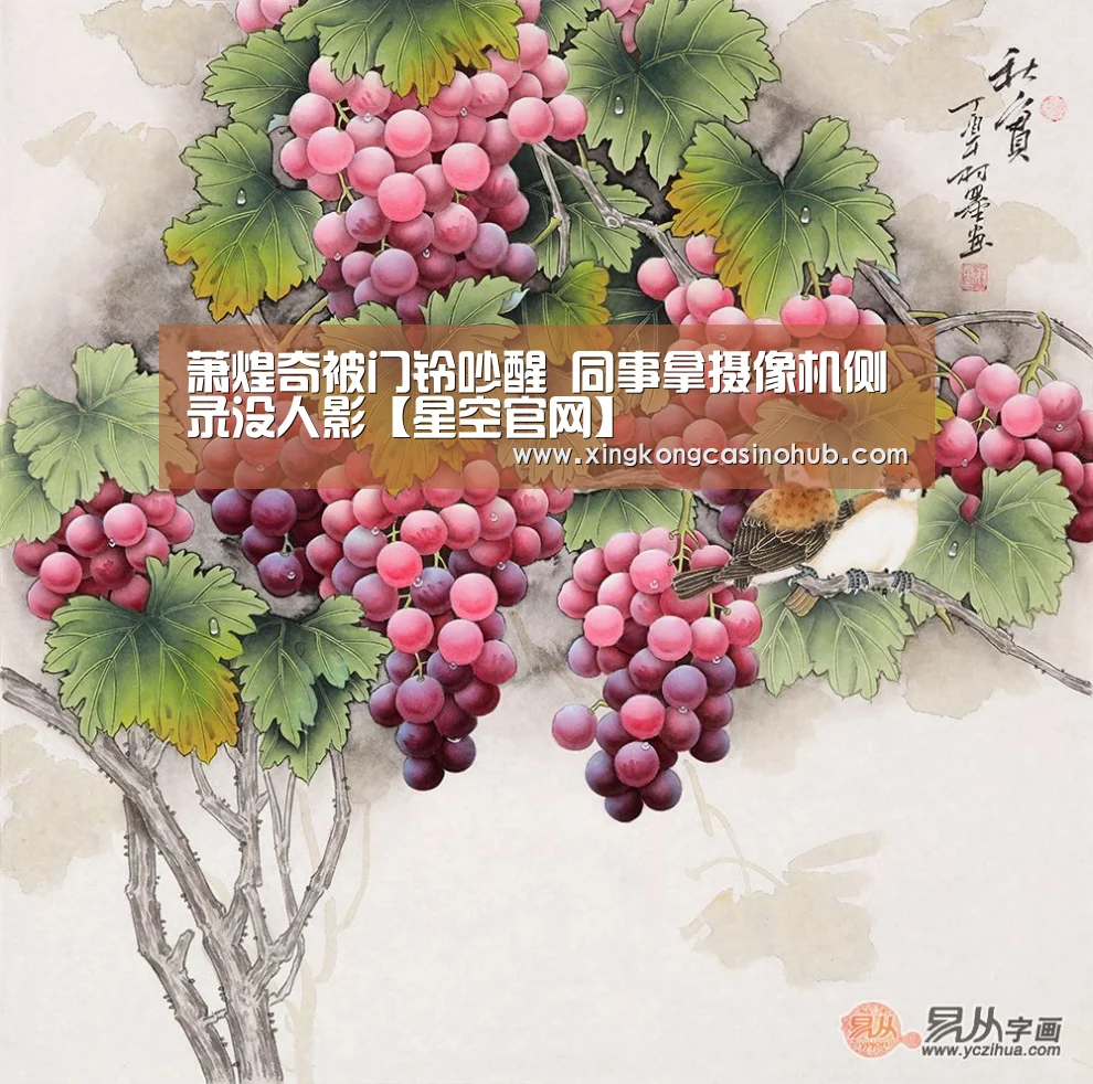 萧煌奇被门铃吵醒 同事拿摄像机侧录没人影【星空官网】(图1) 星空真人