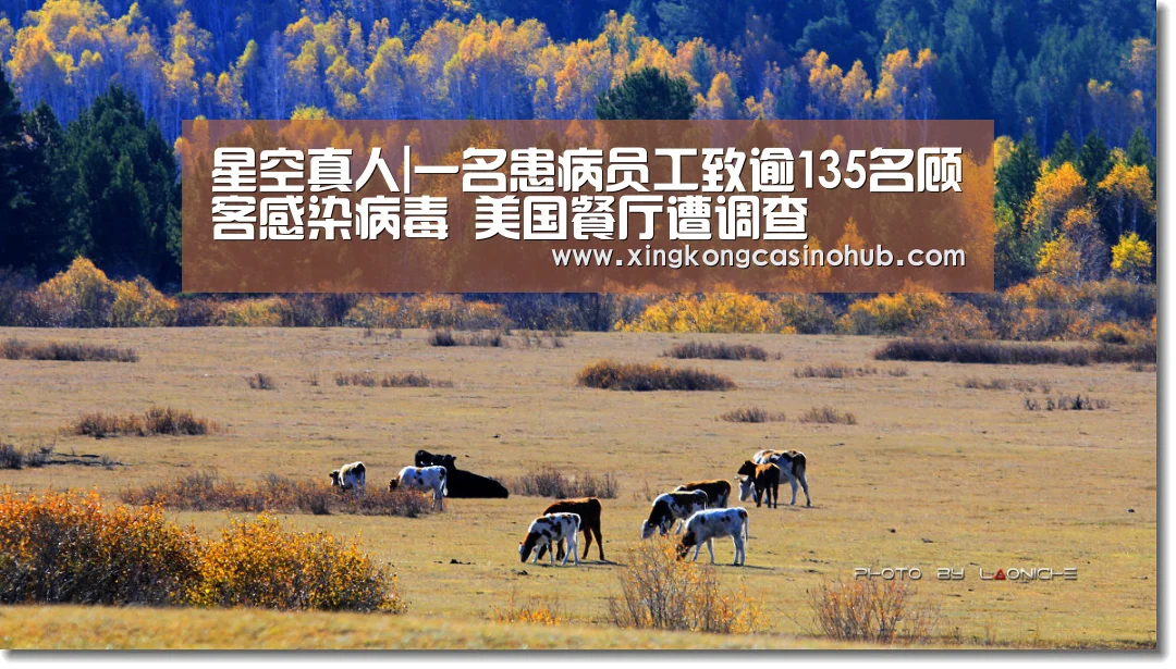 星空真人|一名患病员工致逾135名顾客感染病毒 美国餐厅遭调查(图1) 星空体育