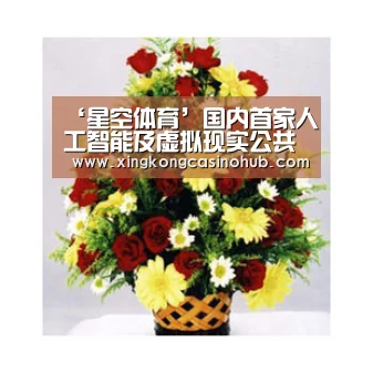 ‘星空体育’国内首家人工智能及虚拟现实公共服务平台在青岛启用(图2) 星空体育