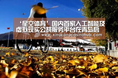 ‘星空体育’国内首家人工智能及虚拟现实公共服务平台在青岛启用(图3) 星空真人