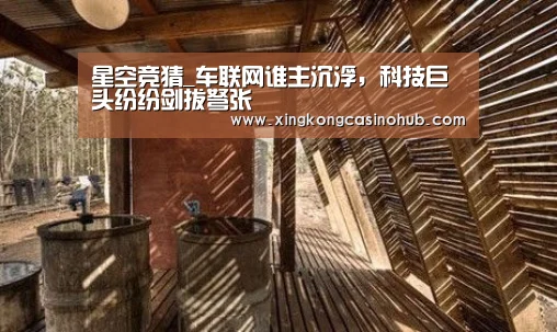 星空竞猜