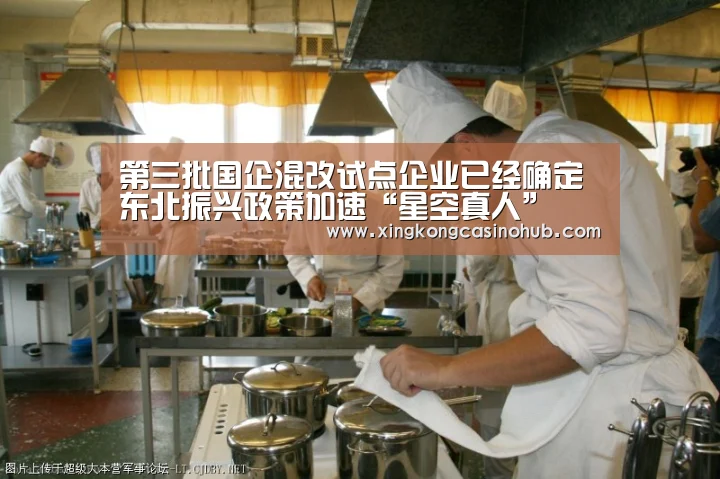 第三批国企混改试点企业已经确定 东北振兴政策加速“星空真人”(图2) 星空官网