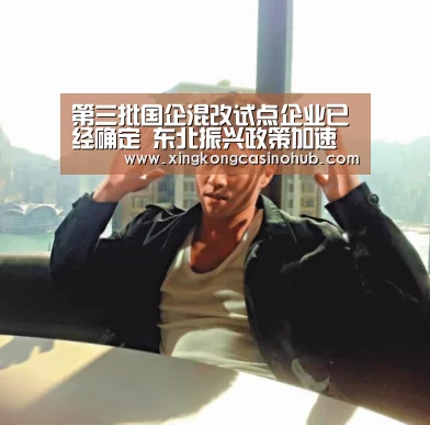 第三批国企混改试点企业已经确定 东北振兴政策加速“星空真人”(图3) 星空真人