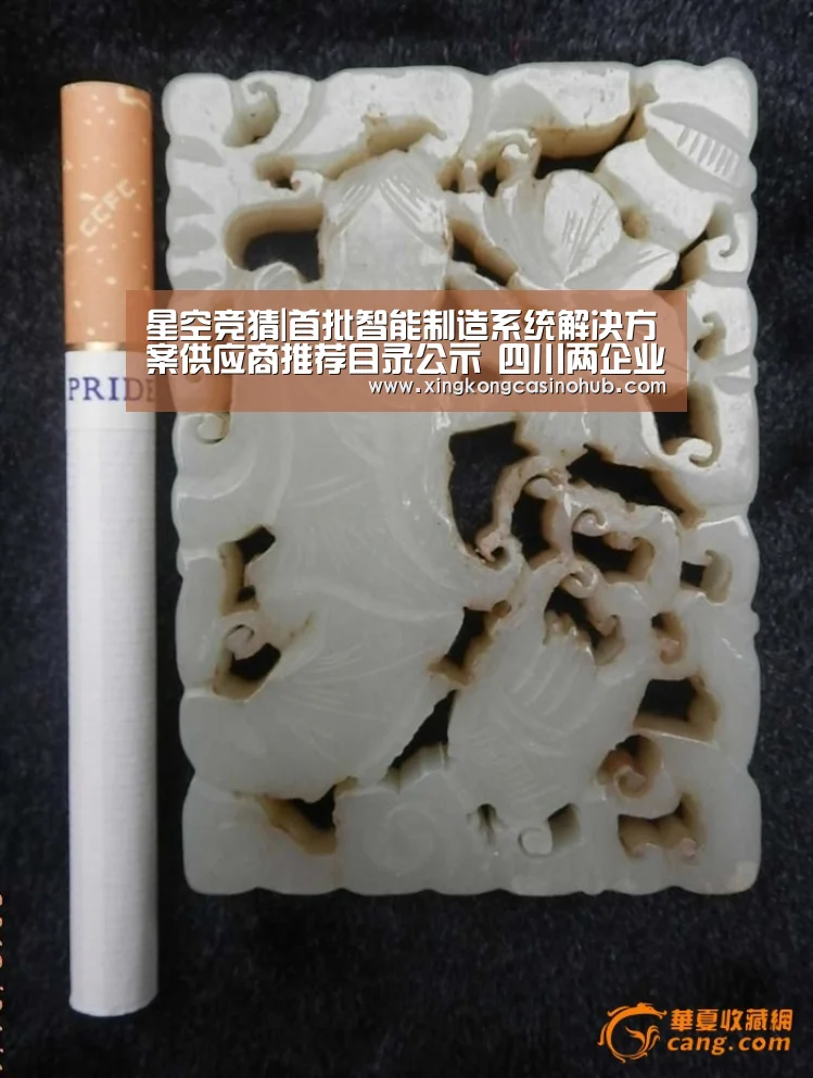 星空竞猜|首批智能制造系统解决方案供应商推荐目录公示 四川两企业入围(图1) 星空真人