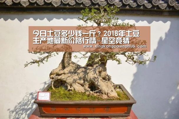今日土豆多少钱一斤?2018年土豆主产地最新价格行情-星空竞猜(图1) 星空竞猜