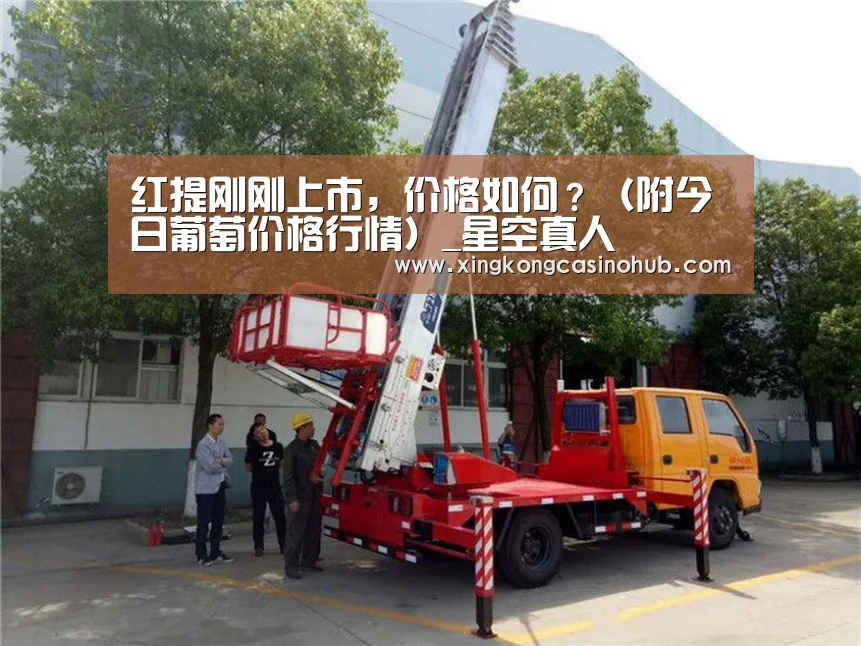 红提刚刚上市,价格如何?(附今日葡萄价格行情)_星空真人(图4) 星空体育