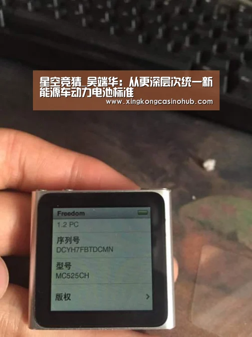 星空竞猜_吴端华:从更深层次统一新能源车动力电池标准(图1) 星空体育
